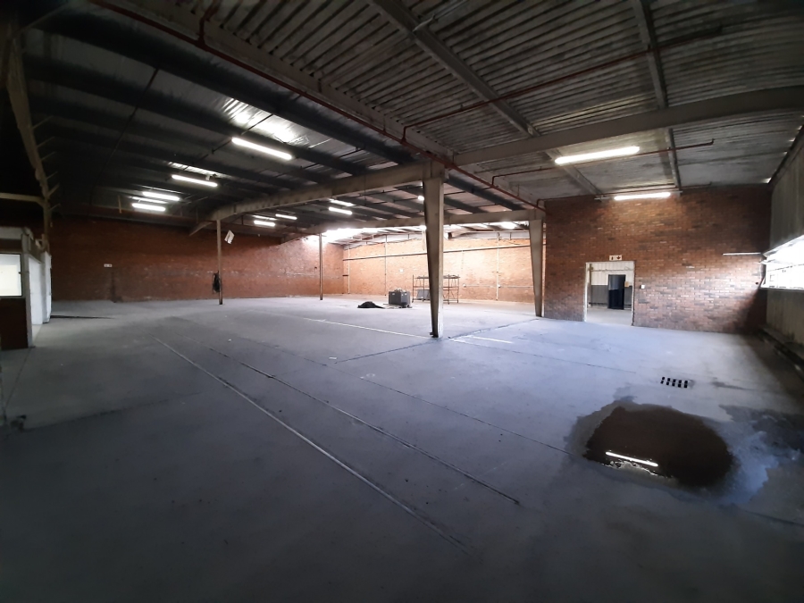 To Let Commercial Property for Rent in Wilsonia Eastern Cape